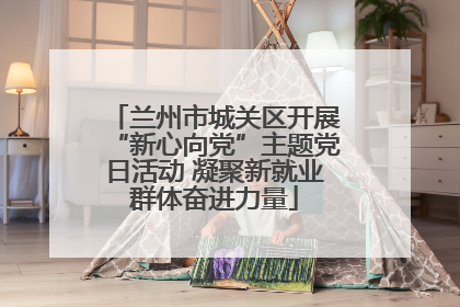 兰州市城关区开展“新心向党”主题党日活动 凝聚新就业群体奋进力量