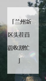 兰州新区头茬苜蓿收割忙