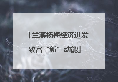 兰溪杨梅经济迸发致富“新”动能