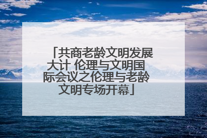 共商老龄文明发展大计 伦理与文明国际会议之伦理与老龄文明专场开幕