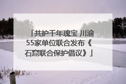 共护千年瑰宝 川渝55家单位联合发布《石窟联合保护倡议》