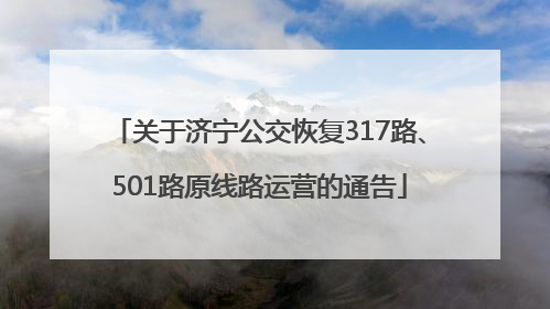 关于济宁公交恢复317路、501路原线路运营的通告