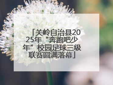 关岭自治县2025年“奔跑吧少年”校园足球三级联赛圆满落幕