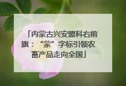 内蒙古兴安盟科右前旗：“蒙”字标引领农畜产品走向全国