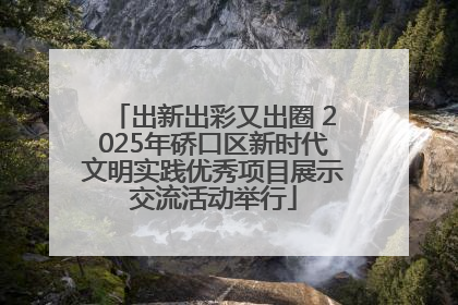 出新出彩又出圈 2025年硚口区新时代文明实践优秀项目展示交流活动举行