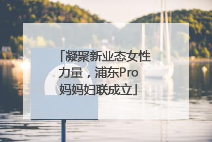 凝聚新业态女性力量，浦东Pro妈妈妇联成立