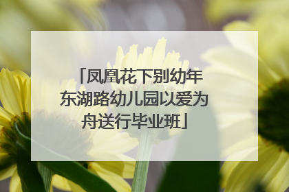 凤凰花下别幼年 东湖路幼儿园以爱为舟送行毕业班