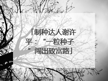 制种达人谢许平：“一粒种子”闯出致富路