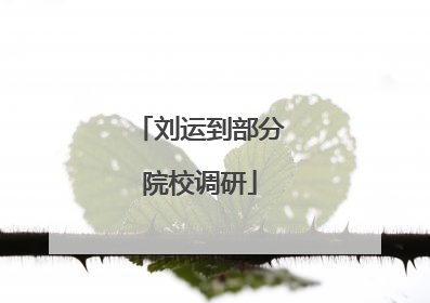刘运到部分院校调研