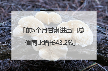 前5个月甘肃进出口总值同比增长43.2%