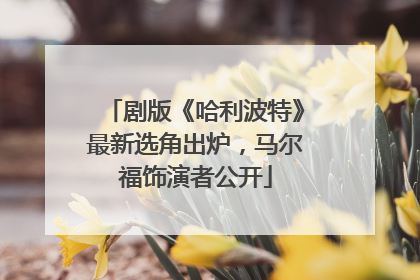 剧版《哈利波特》最新选角出炉，马尔福饰演者公开