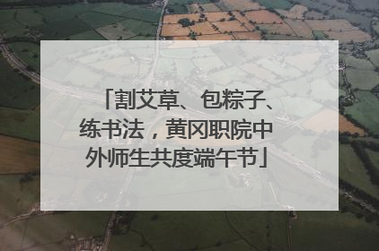 割艾草、包粽子、练书法，黄冈职院中外师生共度端午节