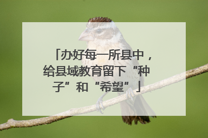 办好每一所县中，给县域教育留下“种子”和“希望”