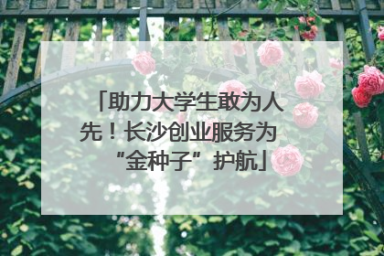 助力大学生敢为人先！长沙创业服务为“金种子”护航