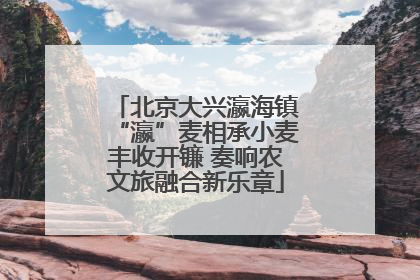 北京大兴瀛海镇“瀛”麦相承小麦丰收开镰 奏响农文旅融合新乐章