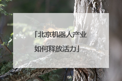 北京机器人产业如何释放活力