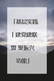 基层实践丨建党建联盟 聚振兴功能