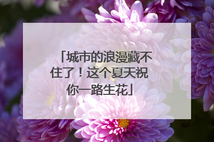 城市的浪漫藏不住了！这个夏天祝你一路生花