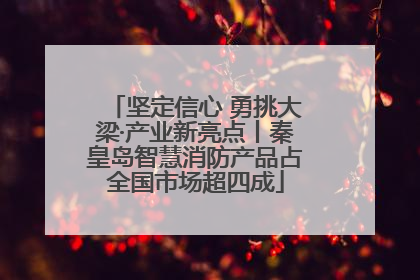 坚定信心 勇挑大梁·产业新亮点丨秦皇岛智慧消防产品占全国市场超四成