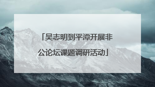 吴志明到平潭开展非公论坛课题调研活动