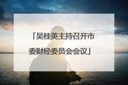 吴桂英主持召开市委财经委员会会议