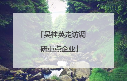 吴桂英走访调研重点企业