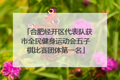 合肥经开区代表队获市全民健身运动会五子棋比赛团体第一名