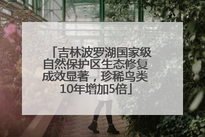 吉林波罗湖国家级自然保护区生态修复成效显著，珍稀鸟类10年增加5倍