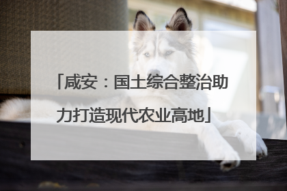 咸安：国土综合整治助力打造现代农业高地