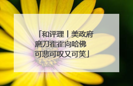 和评理丨美政府磨刀霍霍向哈佛 可悲可叹又可笑