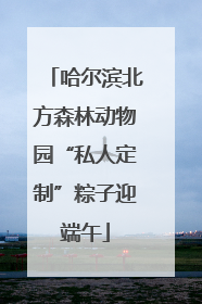 哈尔滨北方森林动物园“私人定制”粽子迎端午