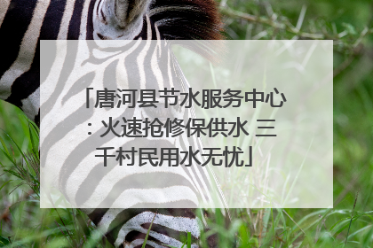 唐河县节水服务中心：火速抢修保供水 三千村民用水无忧