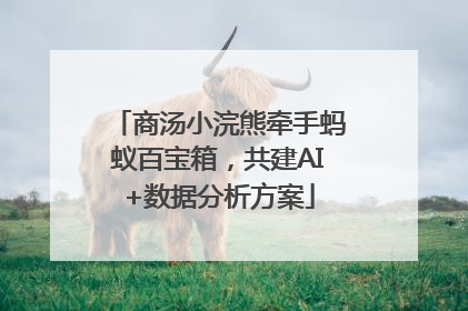 商汤小浣熊牵手蚂蚁百宝箱，共建AI+数据分析方案