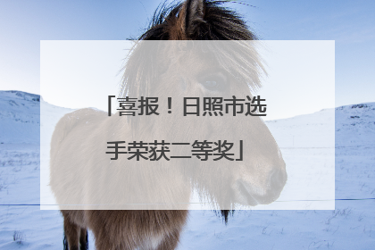 喜报！日照市选手荣获二等奖