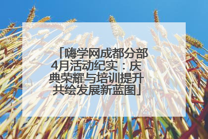 嗨学网成都分部4月活动纪实：庆典荣耀与培训提升共绘发展新蓝图