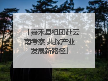 嘉禾县组团赴云南考察 共探产业发展新路径