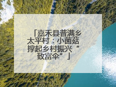 嘉禾县普满乡太平村：小菌菇撑起乡村振兴“致富伞”