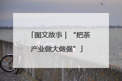 图文故事｜“把茶产业做大做强”
