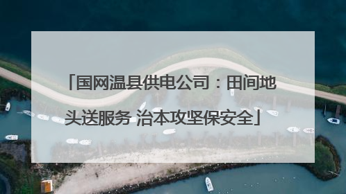 国网温县供电公司：田间地头送服务 治本攻坚保安全