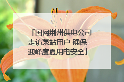 国网荆州供电公司走访泵站用户 确保迎峰度夏用电安全