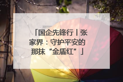 国企先锋行丨张家界：守护平安的那抹“金盾红”