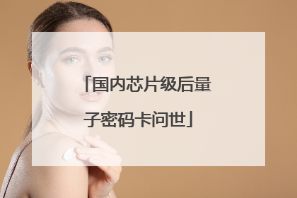 国内芯片级后量子密码卡问世