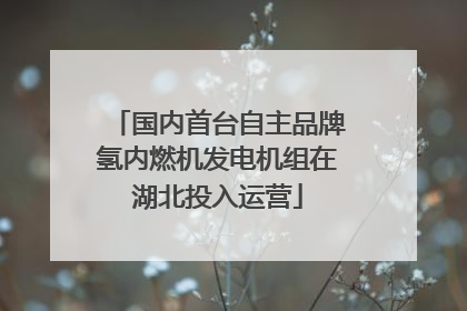 国内首台自主品牌氢内燃机发电机组在湖北投入运营