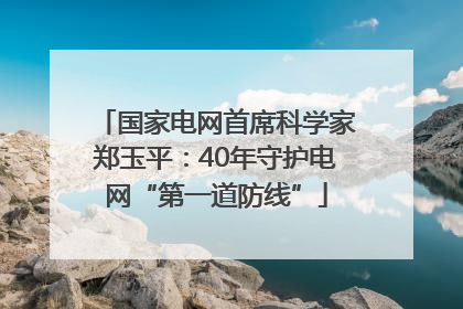 国家电网首席科学家郑玉平：40年守护电网“第一道防线”