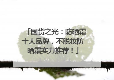 国货之光：防晒霜十大品牌，不脱妆防晒霜实力推荐！