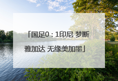 国足0∶1印尼 梦断雅加达 无缘美加墨