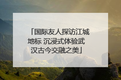 国际友人探访江城地标 沉浸式体验武汉古今交融之美