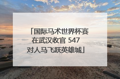 国际马术世界杯赛在武汉收官 547对人马飞跃英雄城