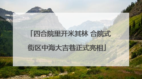 四合院里开米其林 合院式街区中海大吉巷正式亮相