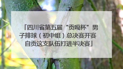 四川省第五届“贡嘎杯”男子排球（初中组）总决赛开赛 自贡这支队伍打进半决赛